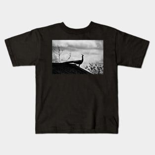 The Surveyor Kids T-Shirt